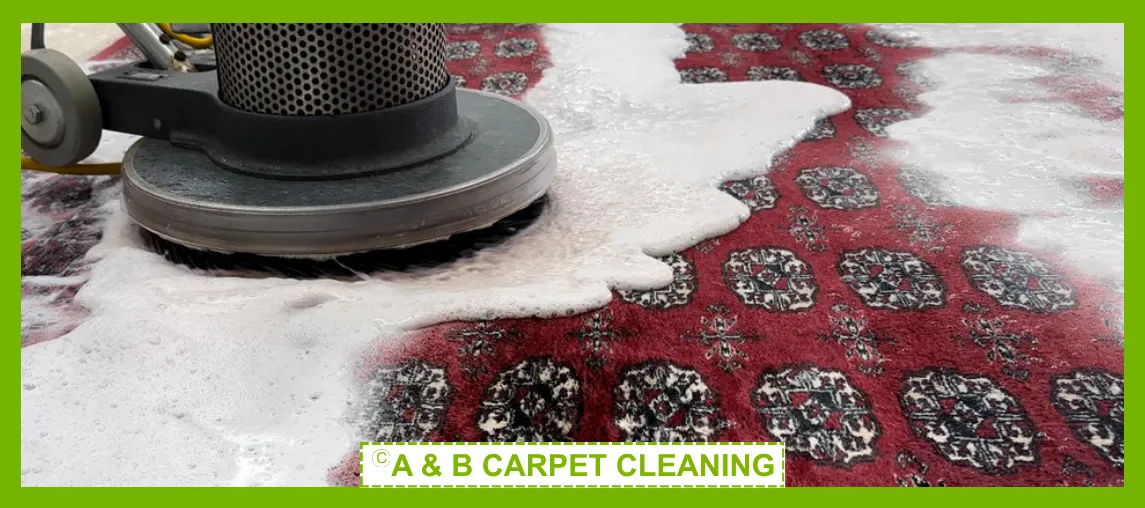 Professional rug cleaning in action